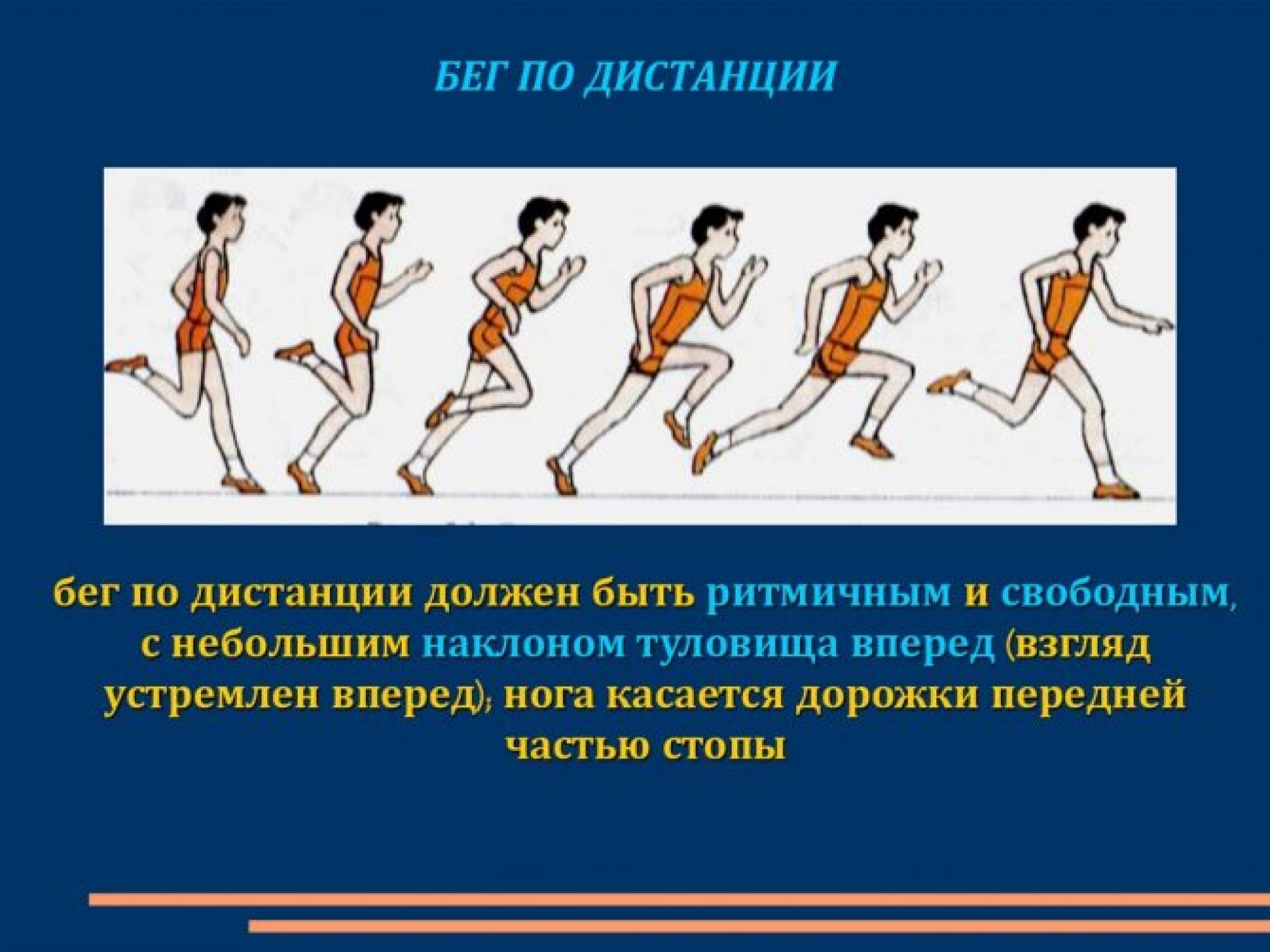 Бег 1 класс урок. Техника бега на средние дистанции. Техника бега на длинные дистанции. Этапы бега по дистанции. Бег на средние и длинные дистанции.