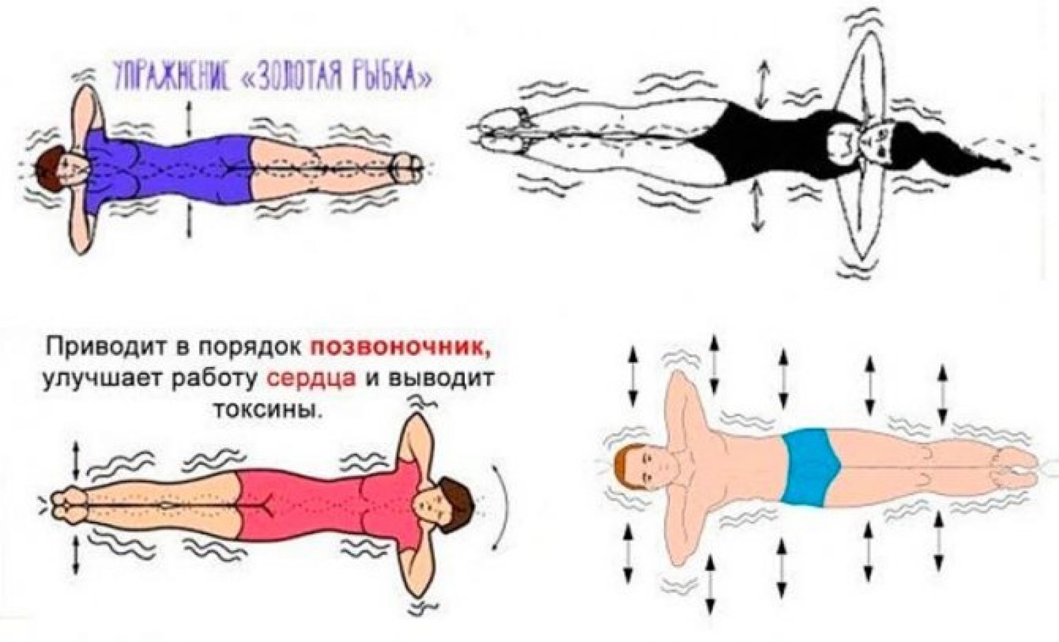 Упражнение Золотая рыбка для позвоночника Кацудзо ниши